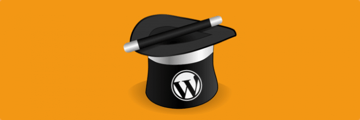 onderhoud wordpress plugins