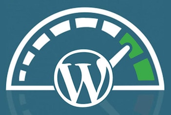 wordpress scan