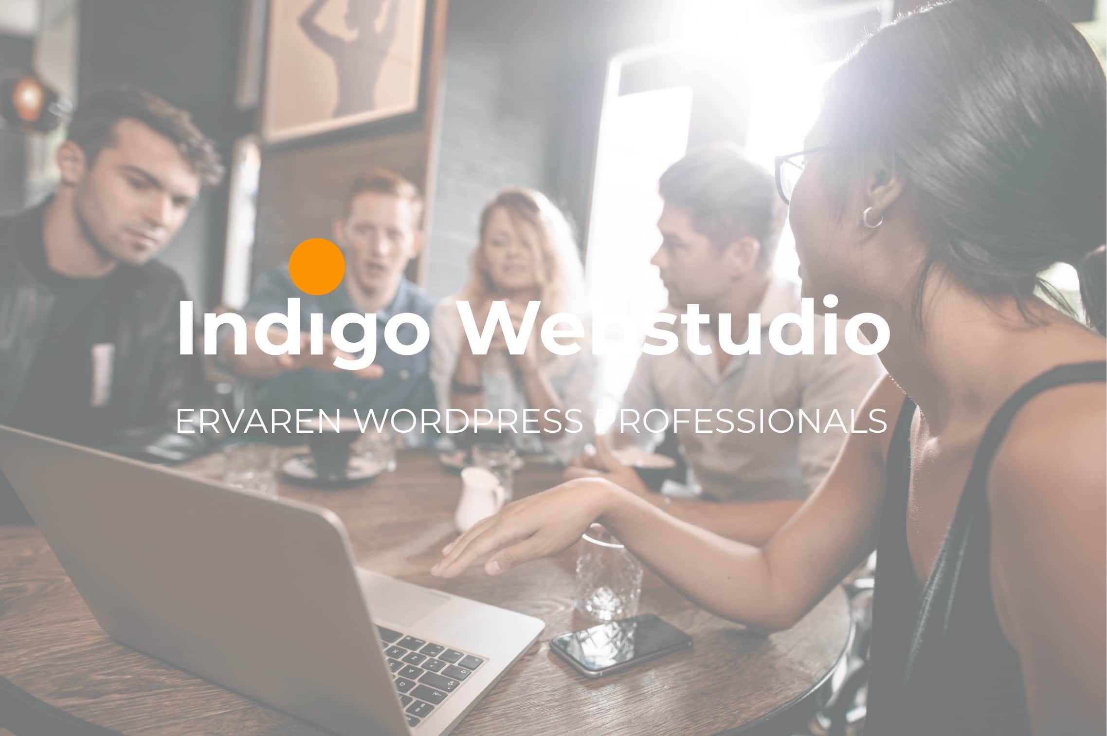 webdesign bureau indigo